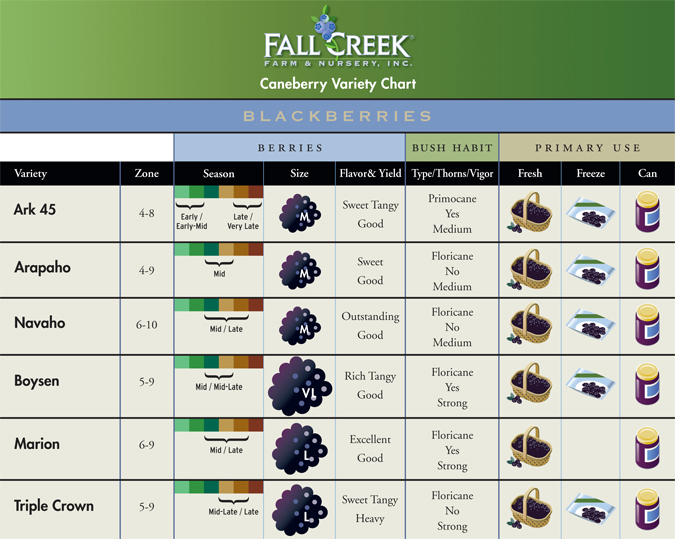 Variety Charts | Fall Creek